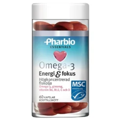 Energi Fokus
