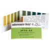 Holistic Ph Papper 1st