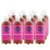 Kombucha Hallon - Flak