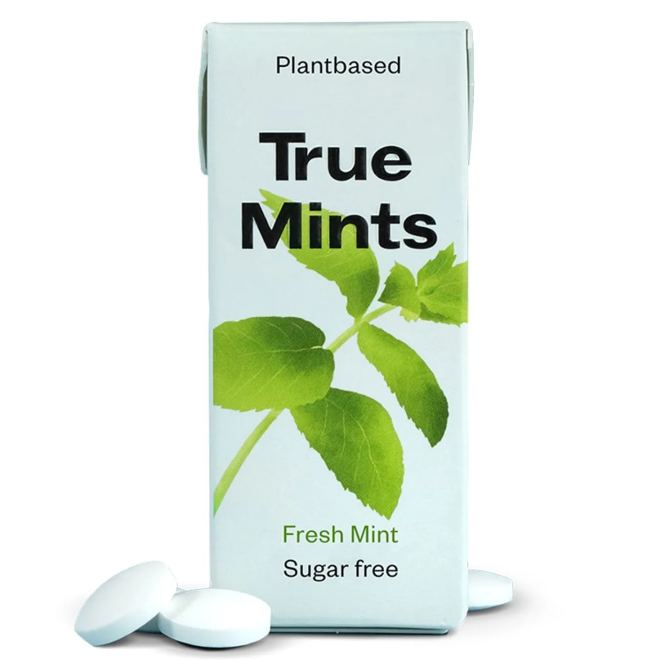 Mint Fresh Mint 13g