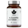 Mjölksyrabakterier