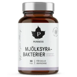 Mjölksyrabakterier
