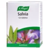 Salvia 120 tabletter